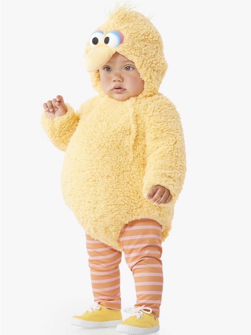 Pottery Barn Kids Big Bird Costume